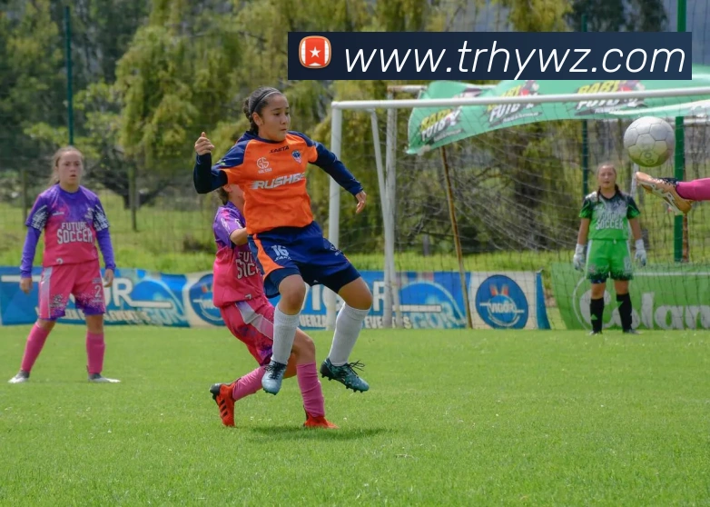 多媒体互动体验