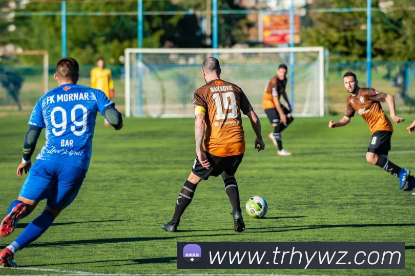 奖项证书